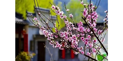 阳春三月，东升国际官网精机一大波展会即将来袭，您筹备好了吗？