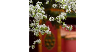 【展会资讯】东升国际官网精机5月展会一览，等您来参观！